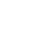 Lake / Pond